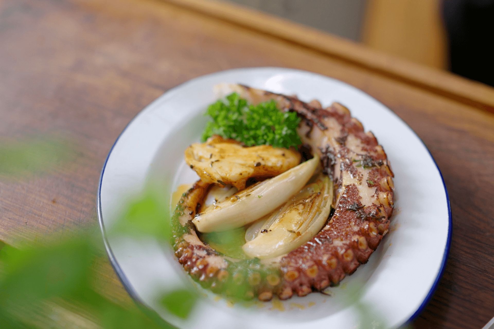 Octopus with endive and aromatic herbs